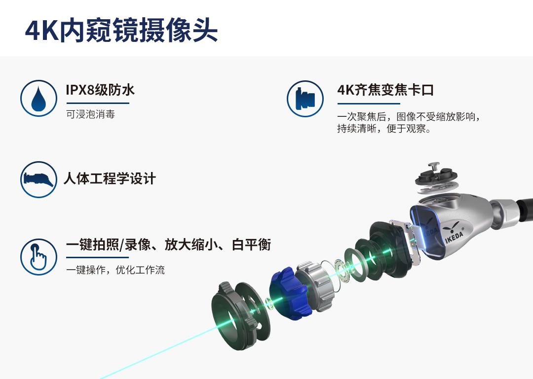 動物腹腔鏡解決方案